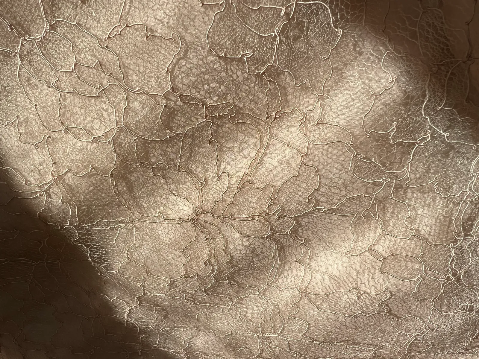 Chloé Spetssidenblus / Lace-blus - Image 5