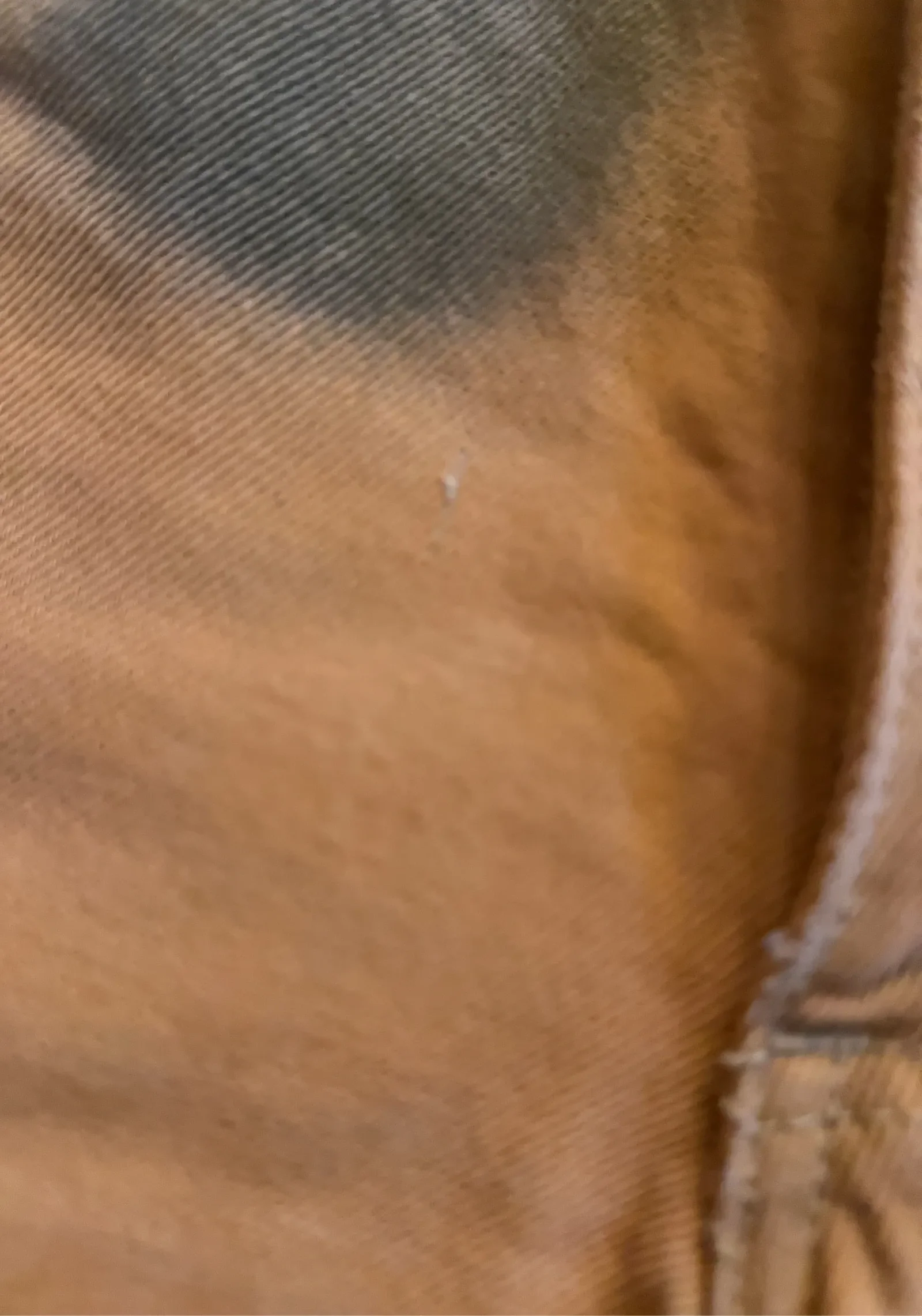 Eckhaus Latta Orange Echo Dot Tapered El-jeans - Image 5