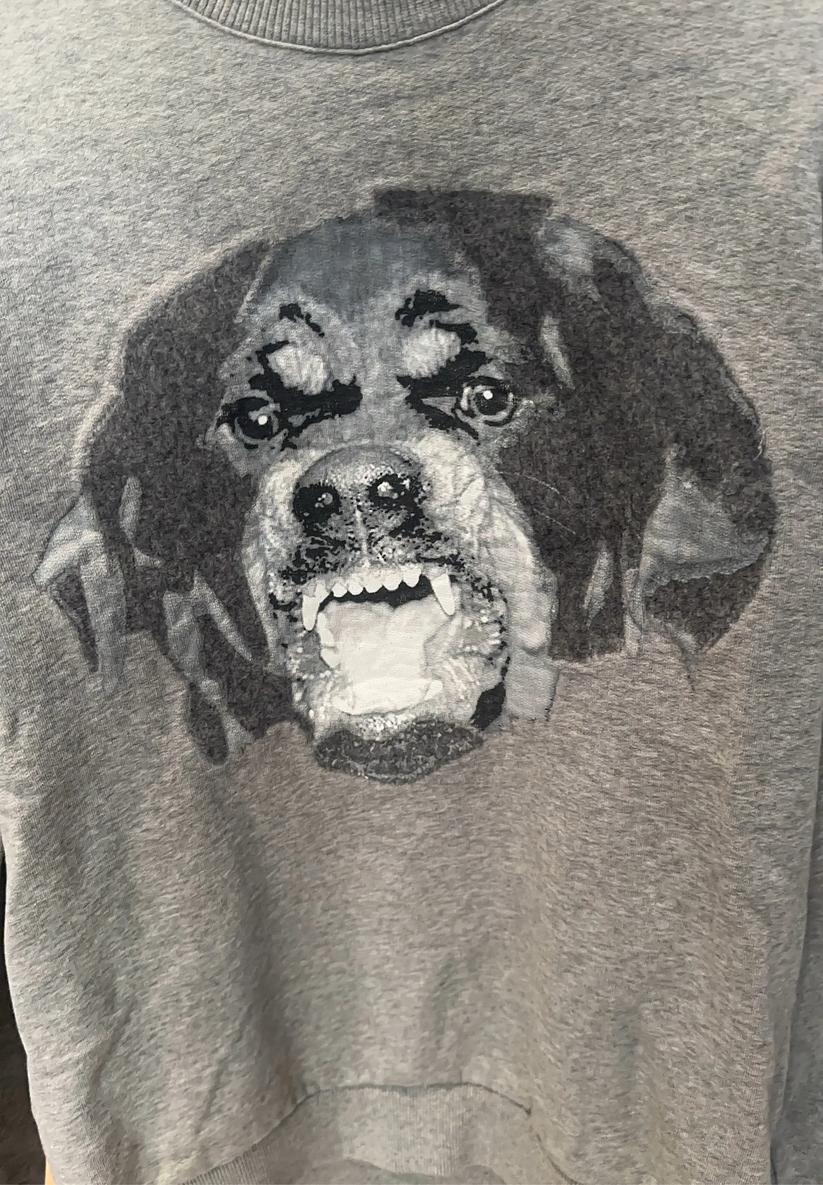 Givenchy Rottweiler-sweatshirt - Image 5