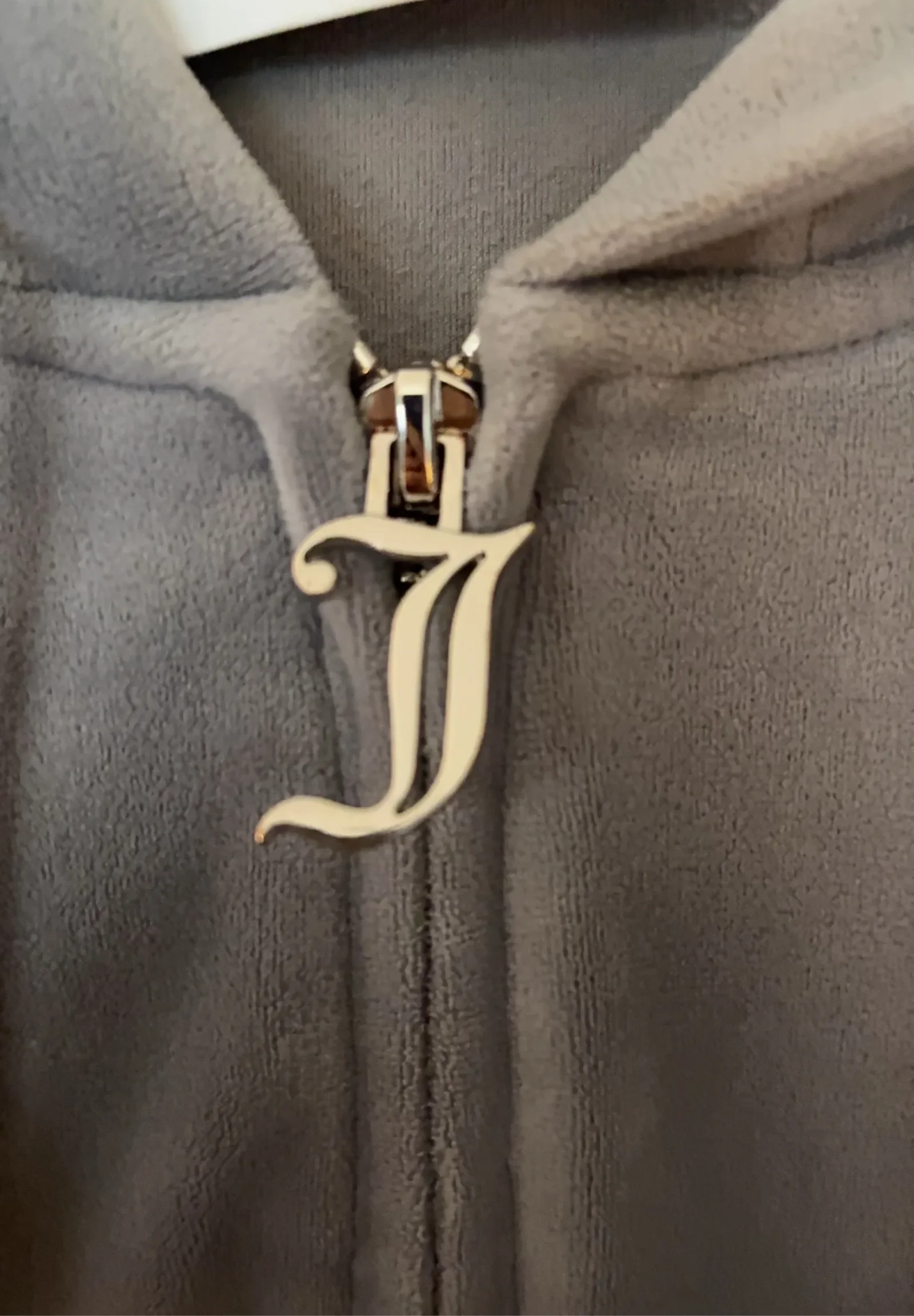 Juicy Couture Classic Velour Robertson Zip-hoodie - Image 5