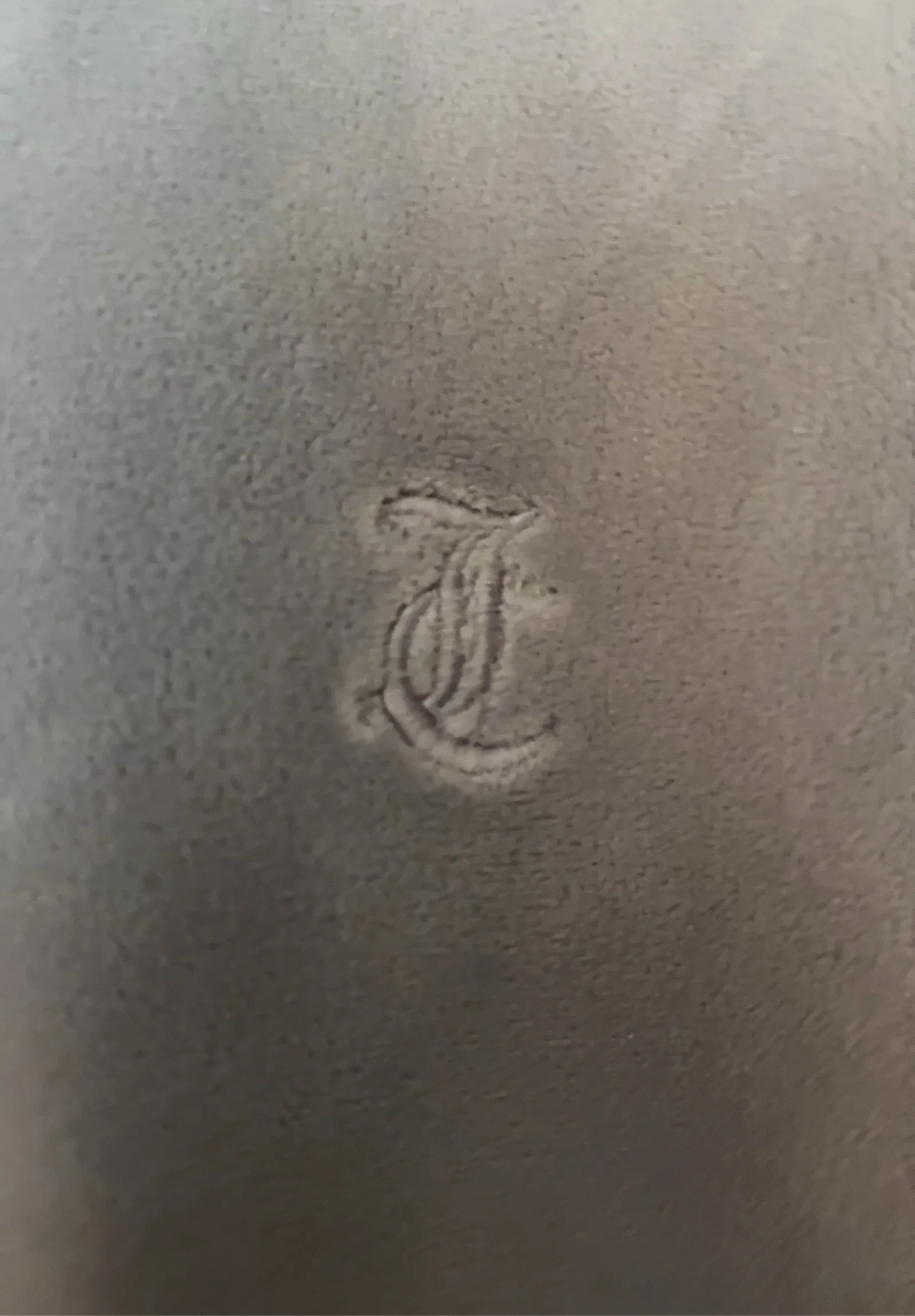 Juicy Couture Classic Velour Robertson Zip-hoodie - Image 6