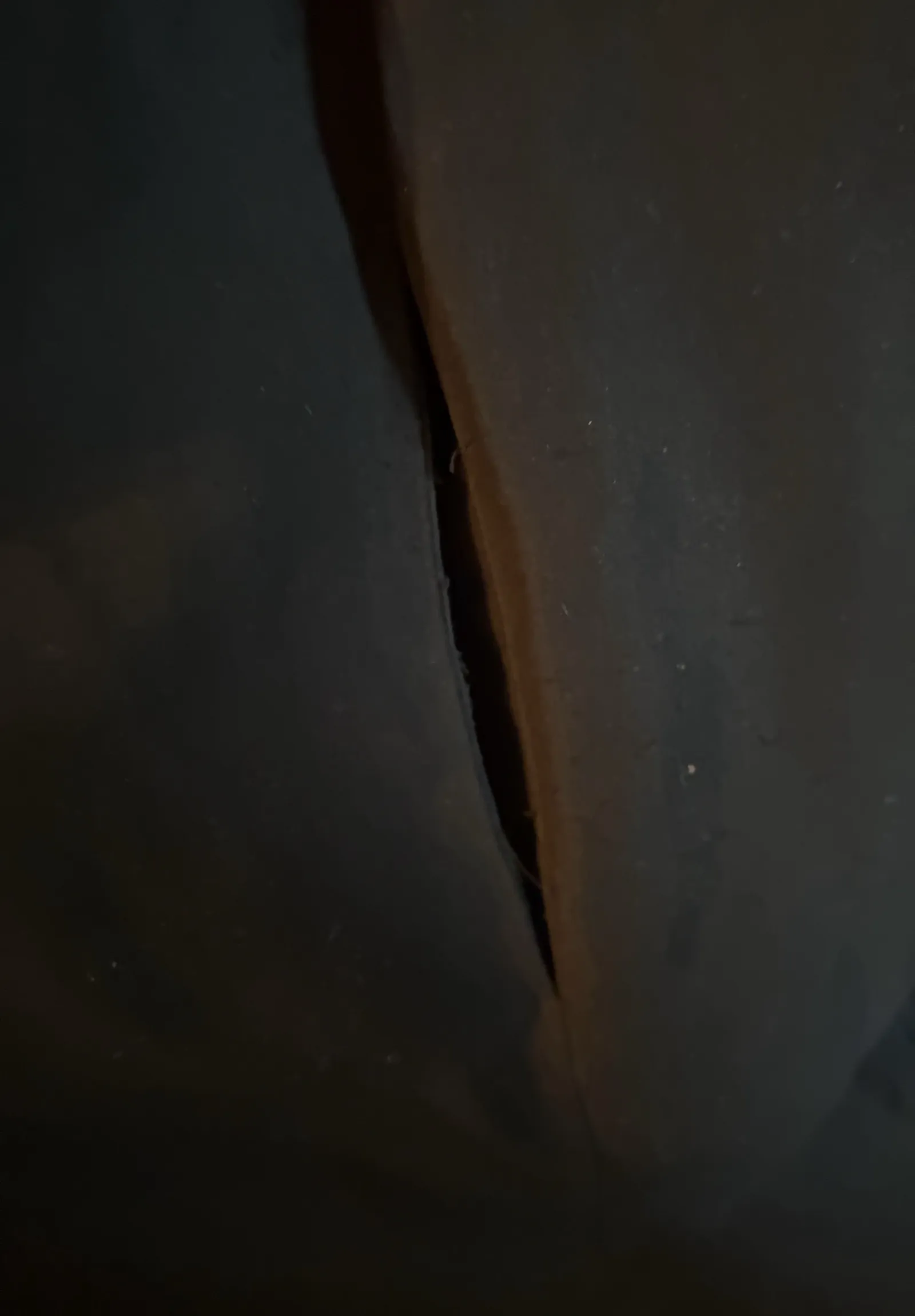 Whyred-kappa - Image 6